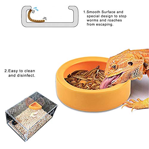 3Pcs Reptile Feeding Tongs Long Tweezers Cricket Clamp Bug Scooper and 2Pcs Reptile Food Bowl Lizard Gecko Food Water… - Image 5