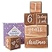 Baby Monthly Milestone Blocks - 6 Blocks Safe for Baby, The Most Complete Set for Pregnancy, Infant and Toddler Years, Baby Photography Props for Social Media, Rustic Baby Nursery Decor (Light Brown)
