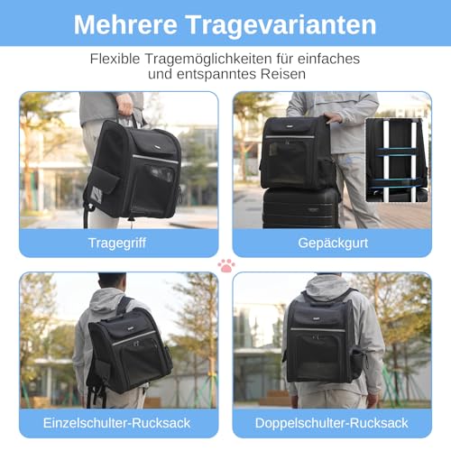 Dogat Erweiterbar Katzenrucksack mit Netzfenster, Tragbare und Faltbare Haustier Rucksack mit Innerer Sicherheitsleine und Haustierunterlage für Katzen Hunde bis 17 lbs (8 kg) Wandern, Walken(Schwarz)