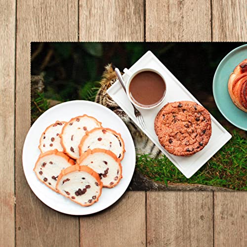 Placemats Washable For Kitchen Table Mats Set Of 6, Animal Tiger #TOP5