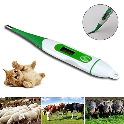 UTUT Fountain Pen Pet Cats Dogs Pig Accurate Digital Electronic Thermometer Veterinary Supply