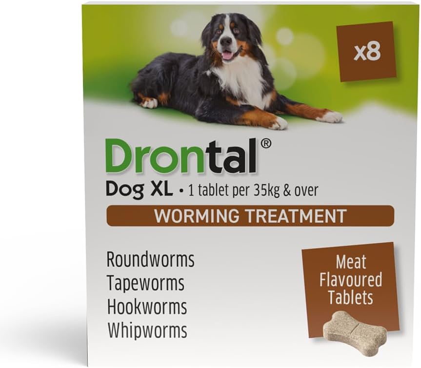 Bayer Drontal Plus Flavour Round and Tapewormer Pack of 8 Tablets - XL Dogs (35kg)