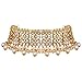 Aheli Elegant Indian Faux Kundan Studded Choker Necklace with Maang Tikka Earrings Set Ethnic Wedding Festive Wear Fashion Jewelry Gift for Women