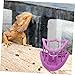 BESPORTBLE 1set Reptile Automatic Water Feeder Dispenser Convenient Plastic Water Basin for Turtles Lizards and Geckos Washable Lightweight Space-Saving Design