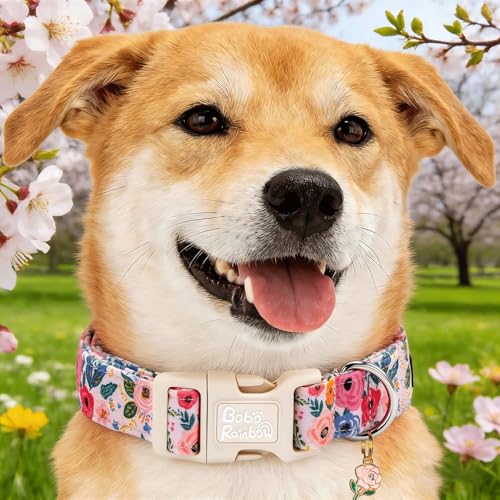 Image of Spring Light Pink Floral Print Dog Collar for Medium Dogs | Garden Walk,Spring Picnic,Daily Walking,Adjustable,Cotton,Lightweight,Quick Release Plastic Buckle,Pendant,Female Dog