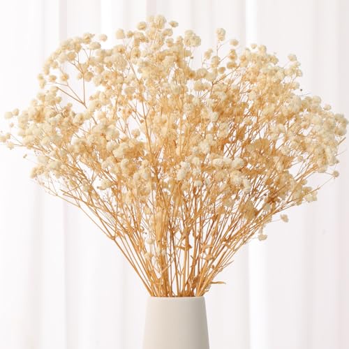 Ramo Flores Secas Babys Breath 17" Natural 2oz