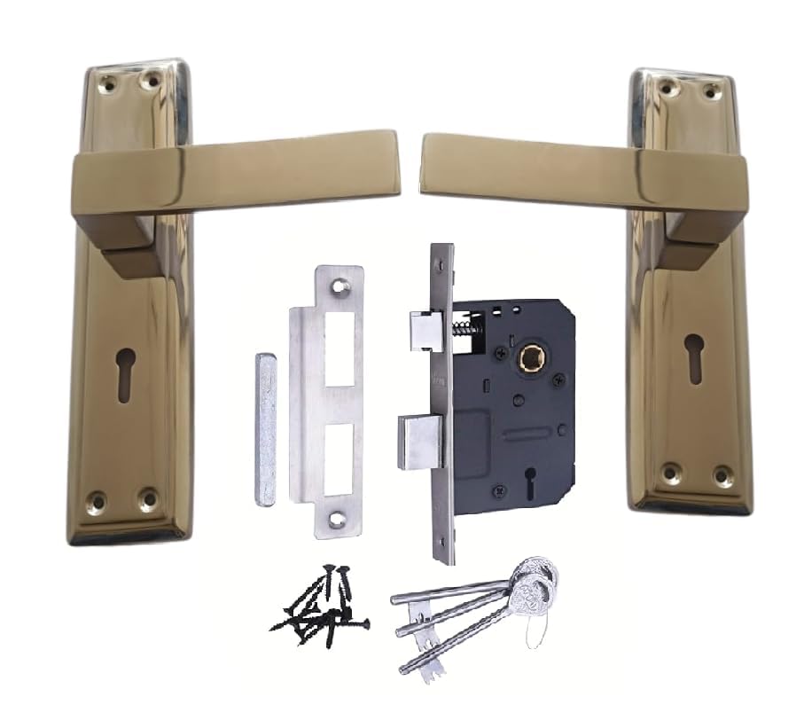 Stainless Steel Mortise Handle, 8 inch Door Lock in S.S. Finish. Pair with Double Turn Lock Two Sided Key Lock Set (Set of 1)-image-21