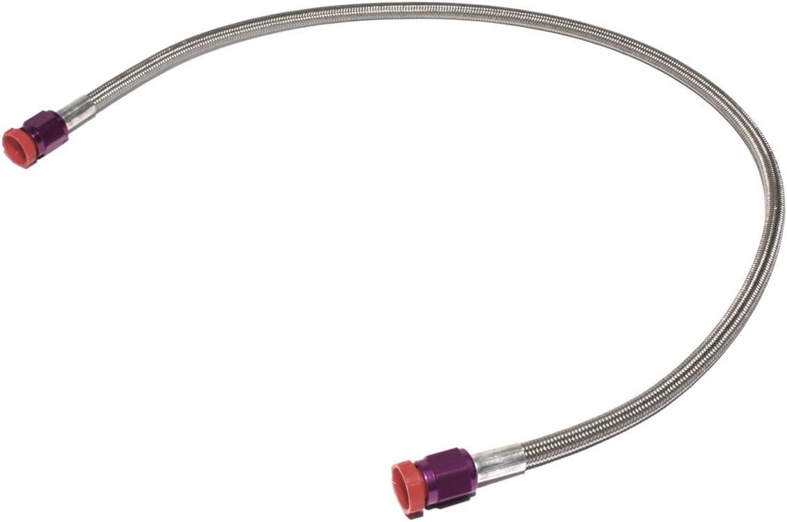 ZexNS6612 3' (ft) Long -4AN Braided Hose with Purple Ends