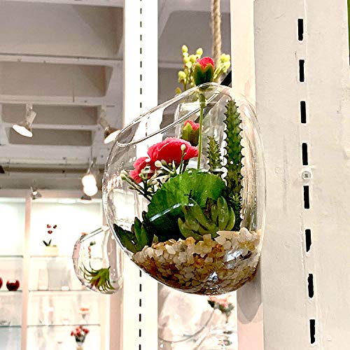 Kit com 3 plantas suculentas, plantador de parede, terrário, jardim, decoração de casa, vasos suspen