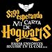 Sudadera niño/a Harry Potter Carta (9/10)