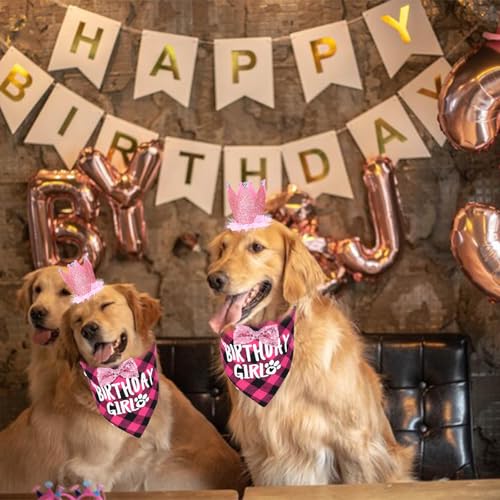 Wanmu Hunde Geburtstag Hut Bandana Set, Hund Geburtstag Hund Halstuch Hundegeburtstagskrawatte mit 9 Bling Nummern Hundegeburtstagsgeschenk für kleine mittlere große Hunde