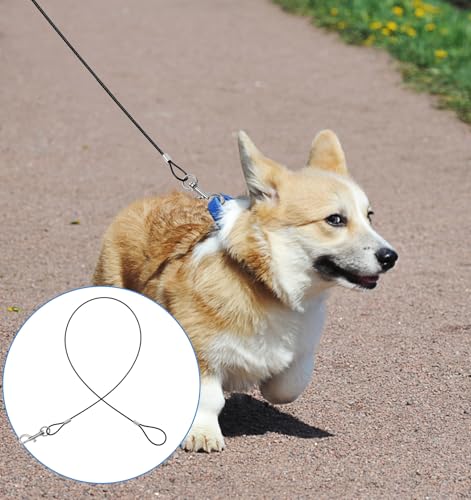 2 Stück Hundeleine Bissfest, Trainingsleine für Hunde mit Verlängerungsseil aus Metall, Kausichere Hundeleinen-Verlängerung für Kleine Mittelgroße Hunde, Robuste und Sichere Hundeleine