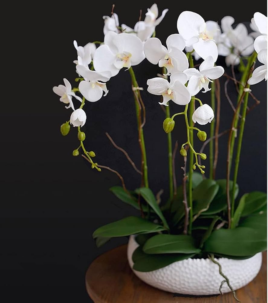 タグ付　胡蝶蘭　黒陶器花瓶　造花　65センチ 胡蝶蘭 黒陶器花瓶 造花 65センチ - メルカリ