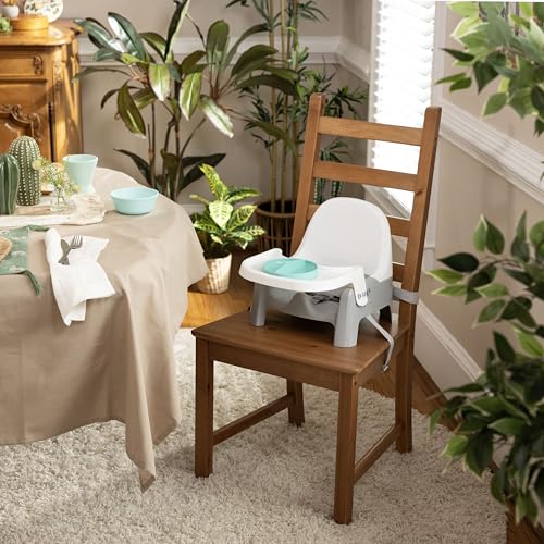 Ingenuity 12940 Summer Infant Deluxe Learn-To-Dine Feeding Seat – Infant And Toddler Feeding Chair And Booster Seat thumb #1