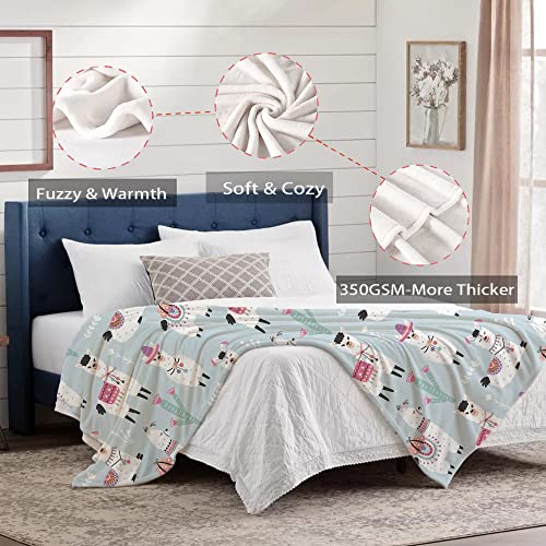 Llama Blanket For Boys Girls, Kid Llama Cactus Throw Blanket For Couch Bed Sofa Living Room Decor, Soft Cozy Alpaca Blanket Ideal Gifts For Baby Toddler Infant Newborn 40 "X 50" #TOP3