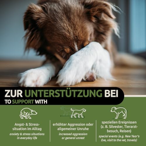 GreenPet Relax Me 120 Tabs – Beruhigungsmittel für Hunde als Snacks mit Baldrian & Johanniskraut, bei Angst, Stress, Autofahrt & Reise – Zur natürlichen Beruhigung & Entspannung