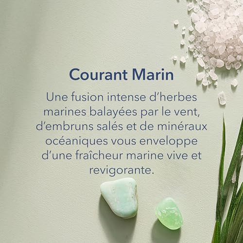 Bougie parfumée anti-odeurs Courant marin à 3 mèches Chesapeake Bay - 3