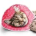 SunGrow Pet Comfy Cone, 7.5x9 Inches Neck Circumference, Post Surgery Stress-Relieving Recovery Collar, with Adjustable Strap Enclosures, Works Great for Many Breeds of Puppies and Cats, 1 Piece