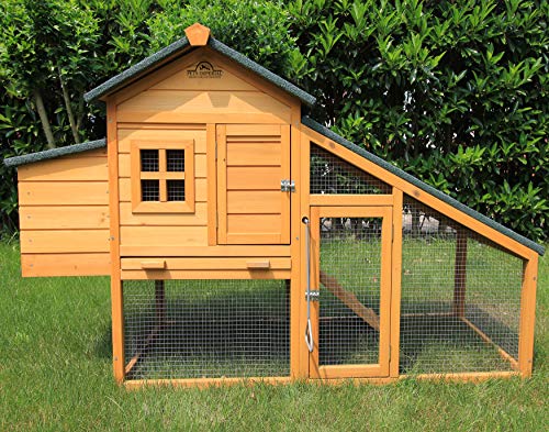 Pets Imperial® Warwick Hühnerstall mit Auslauf - Hühnerstall aus Holz mit Nistkasten und ausziehbarem Tablett - 175 cm… – Bild 6