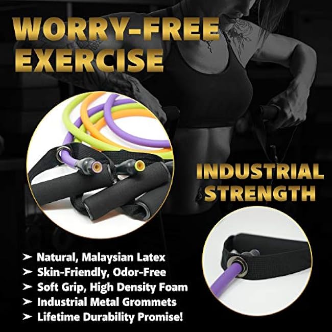 Resistance Bands Set for Men, Women, Exercise & Workout. Fitness Bands for Leg & Bicep Work. Workout Bands for Working Out. Stretch Bands for Physical Therapy. Strength Bands. Elastic Weight Training.