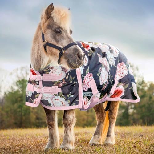Jeffers Expression Pony 1200 Denier Standard Neck Turnout Blanket 240 Gram, 45' – Waterproof Breathable Medium Weight Horse Rug for Mini Horses, Ponies, Winter Stable Outdoor Use - Rose Garden