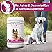 Vet Classics Pain Plus Extra Strength Health Supplement for Dogs - 120 Soft Chews