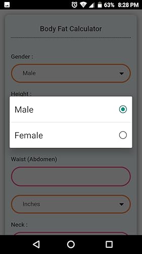 Body Fat Calculator