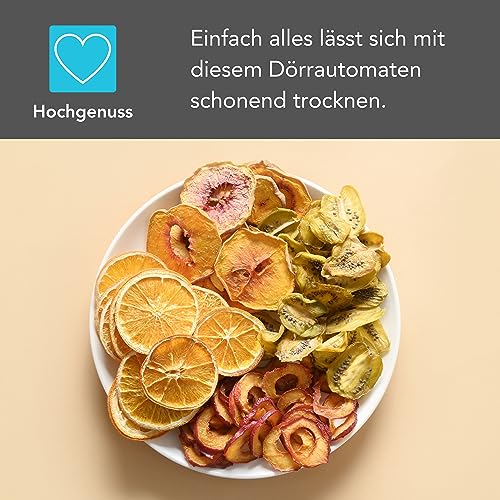 Wartmann Dörrautomat WM-2206 DH Dörrautomat Edelstahl – Kompaktes Dörrgerät mit 6 BPA-freien Edelstahl-Dörrgittern – Dehydrator mit digitaler Temperaturregelung – 72h-Timer – Dörgerät – Bild 7