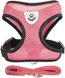 Coleira Peitoral Ajustável Com Guia Cachorro Cães Gato Animais Pet Respirável Refletivo (Rosa, GG (XL))