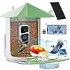 Careboda Smart Bird Feeder Camera with Automatic Bird Video Capture and Motion Detection Indoor Bird Camera Wild Birding Camera with Solar Power for Bird Lovers Green