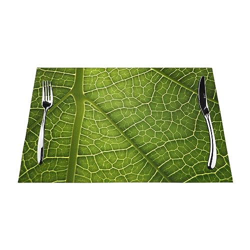 Sets de table pour table basse d'extérieur texture feuille - 3