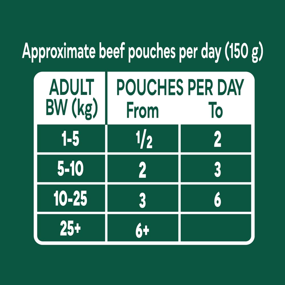 Country Hunter Natures Menu Natures Menu Superfood Selection Pouches for Dogs (12x 150 g)