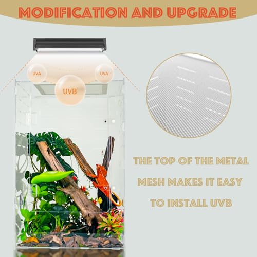 maiyuolg 12" x 12" x 18" Reptile Enclosure, Clear Acrylic Terrarium with Front Opening Doors, Screen Top Ventilation, Secure Lock for Arboreal Reptiles — view 5
