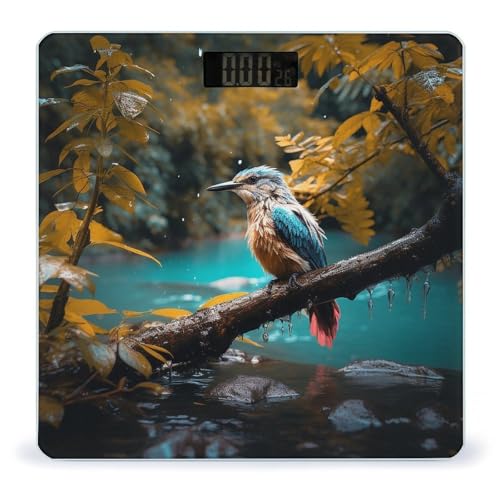 Báscula digital de baño con sonidos relajantes y pantalla LCD miniatura 1