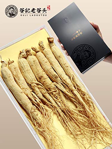 Amazon Com Panax 人参野山参长白山鲜人参野山参礼盒白参人参片泡酒80g Grocery Gourmet Food