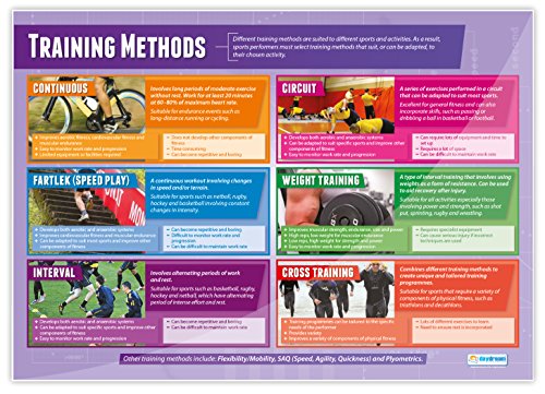 Daydream Education Physical Training Posters - Set Of 7 | Pe Posters | Gloss Paper Measuring 33” X 23.5” | Physical Education Charts For The Classroom | Education Charts #TOP4