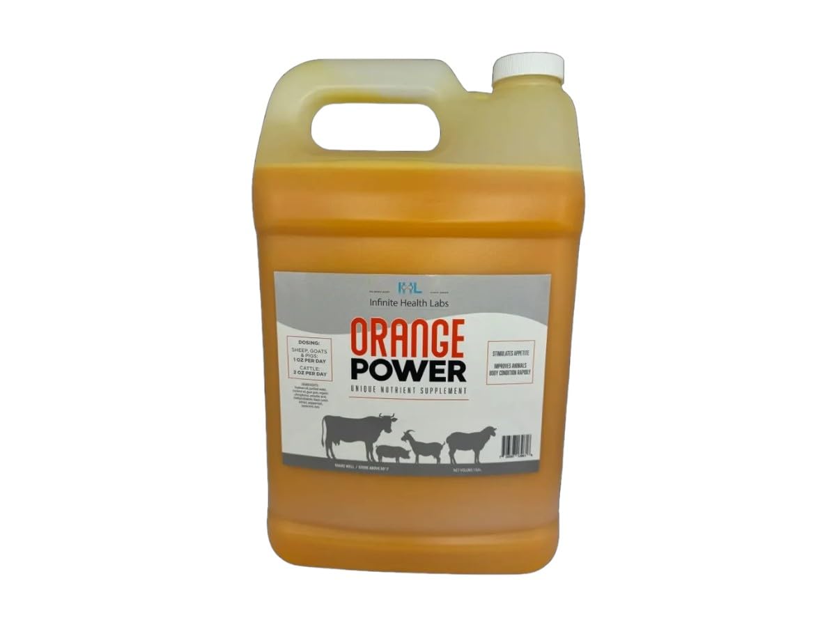 Infinite Health Labs - Orange Power Nutrient Supplement for Show Cattle, Sheep, Goats and Pigs - Appetite Stimulant & Performance Booster - Liquid Formula with B12 & Phosphorus (1 Gallon)