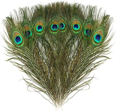 Swastik Enterprises Real Peacock Feather Original Feathers morpankh for Craft Floral Flowers Items Home Decoration, Wedding, House Decor, Art, and Pooja (Pack of 30 Pcs)-image-31