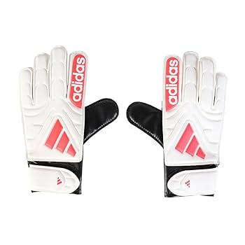 限定　2010年ワールドカップ 日本代表 ホーム未使用品タグ、袋付 Lサイズ 限定 2010年ワールドカップ 日本代表 ホーム未使用品タグ、袋付