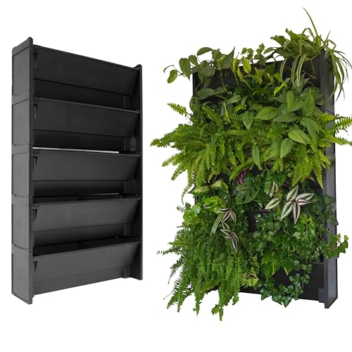 EVERTIA Jardín Vertical, Macetas para Jardines Verticales Naturales en Exterior o Interior, Huerto Vertical, Riego Semi-Automático (5 Macetas)