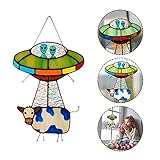 3 Schönes Licht ---- Der kreative Weltraumanhänger reflektiert schönes Licht in der Sonne. Wie in der Realität. Bitte lassen Sie es mehr Schönheit in Ihr Leben bringen.