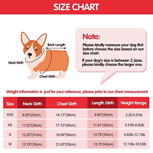 EMUST Dog Winter Coat, Dog Coats for Small Dogs Winter, Winter Dog Hoodie with Pockets, Warm Dog Clothes for Small Dogs… - Image 4