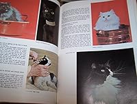 Cats 'n kittens 0668025999 Book Cover
