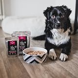 Tales & Tails® - Nassfutter für Hunde aus 100% isländischem Lachs| Getreidefreies Hundefutter, Natürlich, Nährstoffreich, Zuckerfrei | Hundenassfutter „Ohne Flachs mit Lachs“| 30x 100g