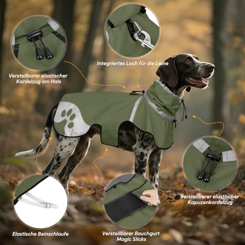 Manteau de pluie pour chien teckel imperméable et coupe-vent