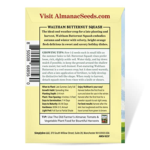 The Old Farmer's Almanac Heirloom Winter Squash Seeds (Waltham Butternut) - Approx 40 Seeds - Non-GMO, Open Pollinated, USA Origin - Image 3
