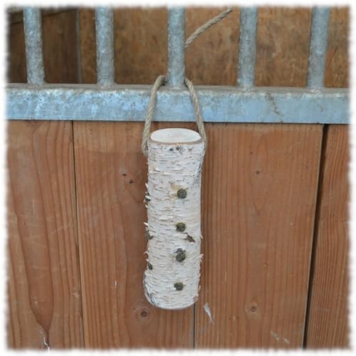 KNABBERLEIN Pferdespielzeug Birke Leckerli Bio Hanfsamen vertikal, zuckerfrei und getreidefrei als Knabberholz, gesund gegen Langeweile bei Boxenruhe Cover