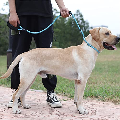 TAPIVA Nylon Pet Leash Reflective Design for Night Safety