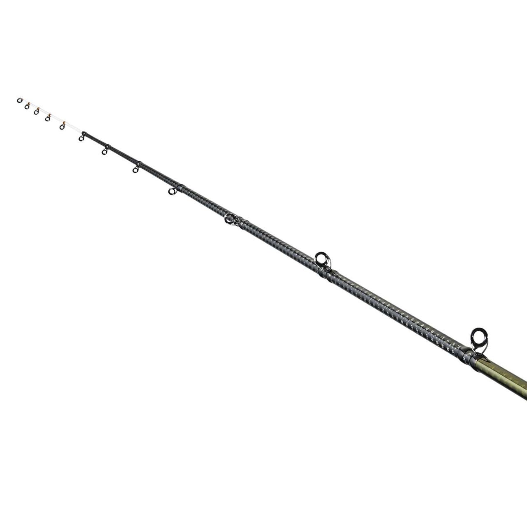 Amazon | シマノ(SHIMANO) アジングロッド 25 ソアレSS ボート B66M-S