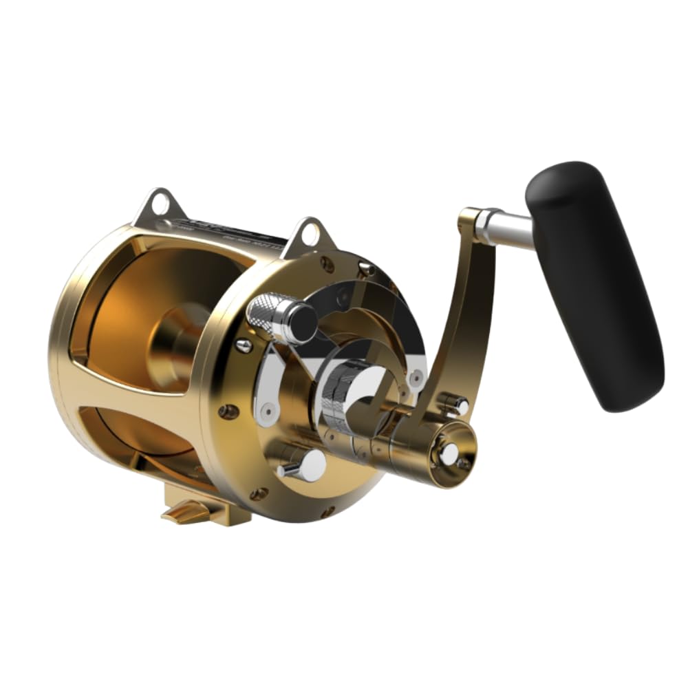 Amazon | Avet EXW50/2RH-GD 2速リール ゴールド 右利き用